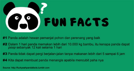 Panda Fun Facts 2